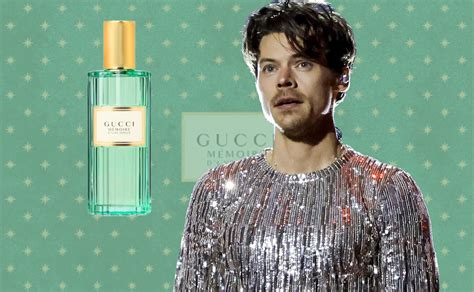 harry styles cologne burberry|Harry Styles cologne line.